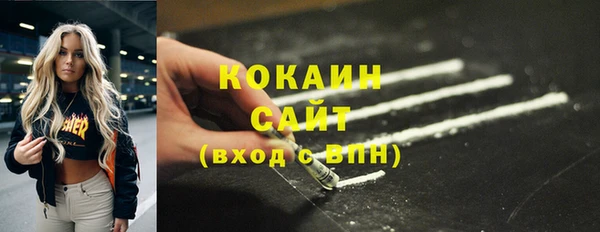 гидра Волоколамск
