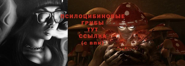 соль ск Володарск