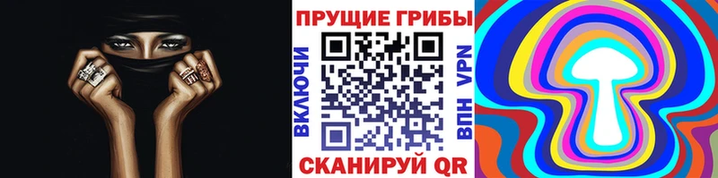 блэк спрут ТОР  Выкса  Псилоцибиновые грибы Psilocybe  закладка 